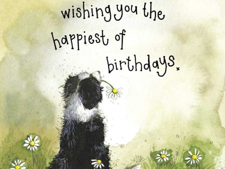 Sunshine Collie Birthday Card Online now