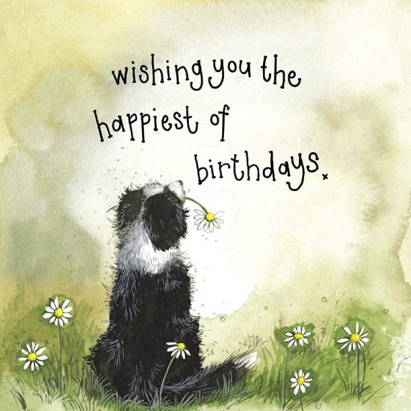 Sunshine Collie Birthday Card Online now