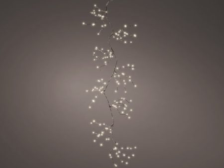 Micro LED Garland - Classic Warm Online Hot Sale