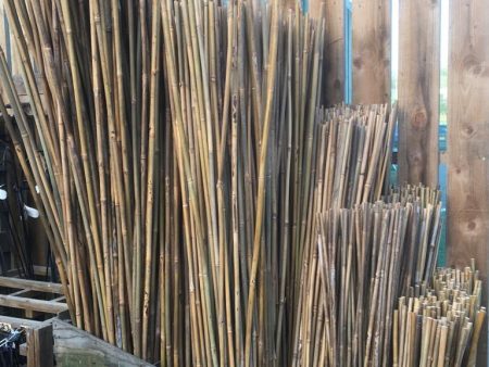 Bamboo Canes 8ft For Cheap