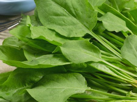 Suffolk Herbs French Sorrel Online Sale