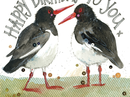 Oyster Catchers Birthday Card Online Sale