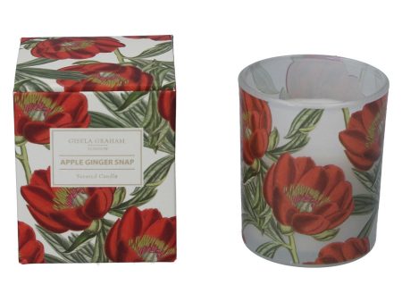 Gisela Graham Apple Ginger Snap Scented Candle - Small Online now