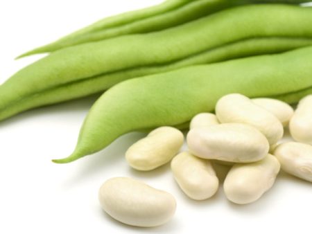 Kings Seeds Dwarf French Bean  Cannellino  Organic For Cheap