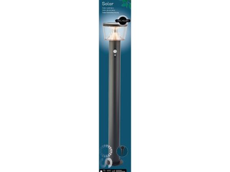 Motion Sensor Solar Stake Light - Large Cheap