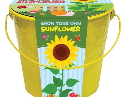 Grow Your Own Sunflowers Growing Kit Online now