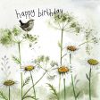 Starlight Wren and Daisies Birthday Card on Sale