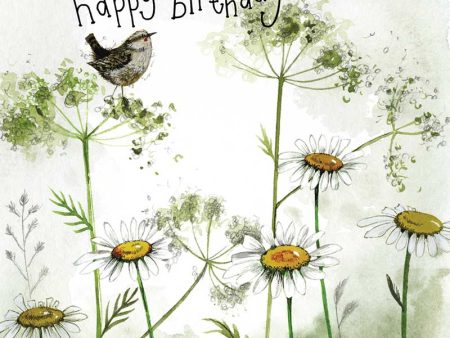 Starlight Wren and Daisies Birthday Card on Sale