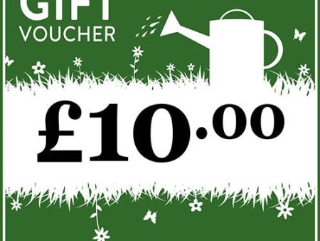 Pengelly £10 Gift voucher For Sale