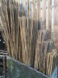 Bamboo Canes 4ft Sale