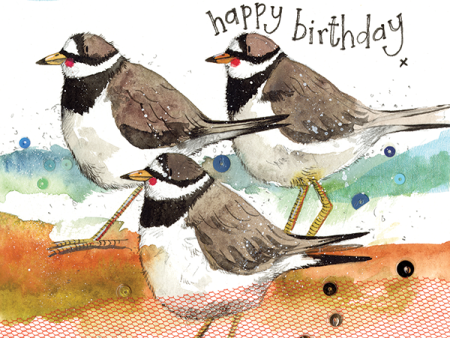 Ringed Plovers Birthday Card Online now