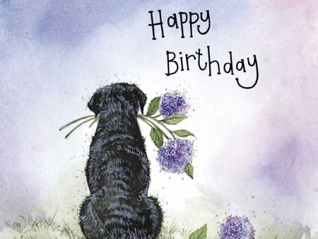 Sunshine Labrador and Flowers Birthday Card Online now