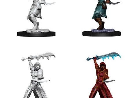 D&D Nolzurs Marvelous Unpainted Miniatures: Female Human Rogue For Cheap