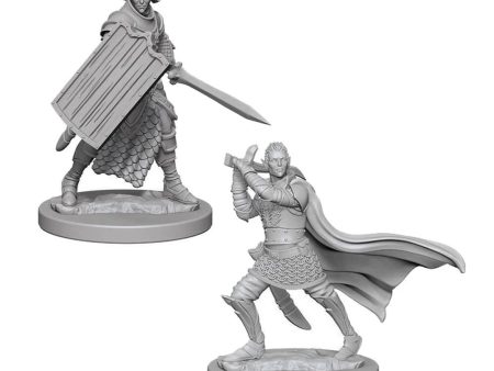 Pathfinder Unpainted Elf Male Paladin For Cheap