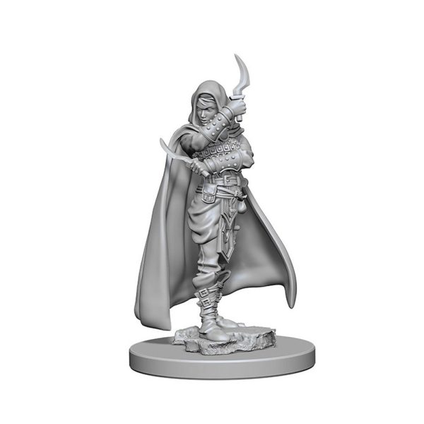 Pathfinder Human Female Rogue Discount