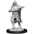 Pathfinder Deep Cuts Unpainted Miniatures Human Rogue Male For Sale