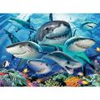 300pc Smiling Sharks For Cheap