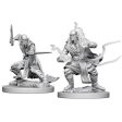 D&D Nolzurs Marvelous Unpainted Miniatures: Githzerai For Discount