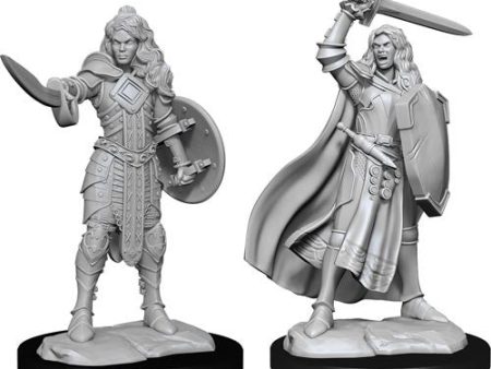 Pathfinder Deepcuts Unpainted Miniatures Human Champion Female For Cheap