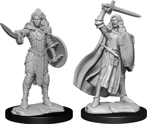 Pathfinder Deepcuts Unpainted Miniatures Human Champion Female For Cheap